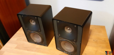2045494-94a8381a-realistic-minimus-11-in-black.jpg