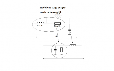 Augspurger..png