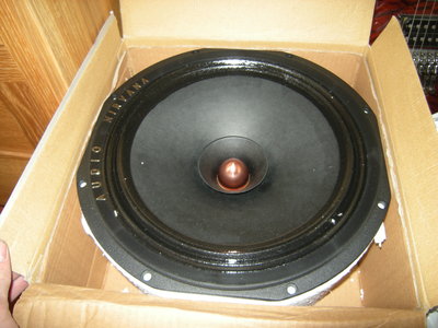 audio nirvana 12" full range