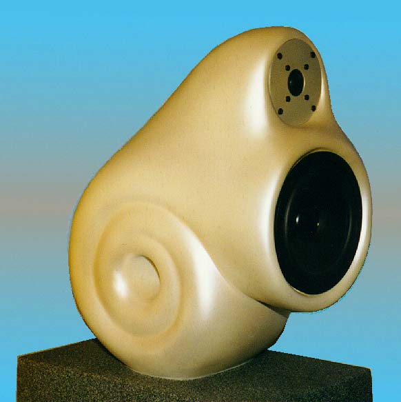 ammonite2.jpg