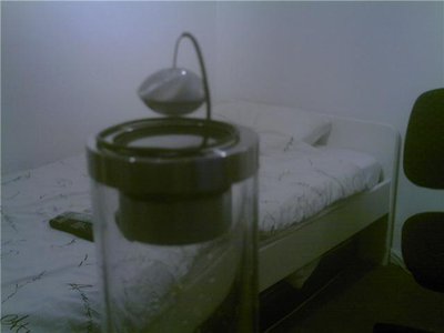 2.JPG