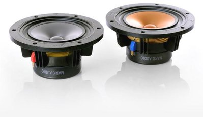 speaker gol and gray