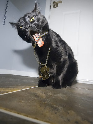 Bling bling.jpg
