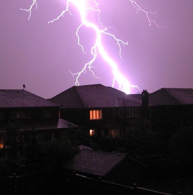 Flits.jpg