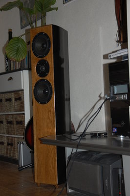DSC_0135.JPG