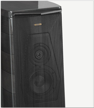 Sonus Faber grille.jpg