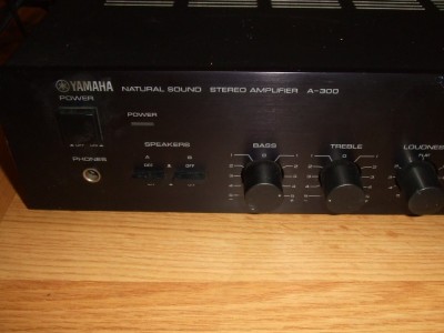 A3004.jpg