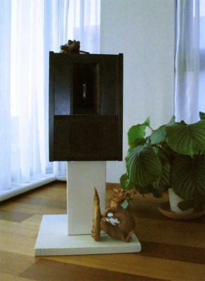 Dk30.jpg