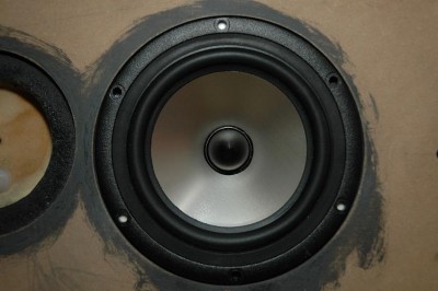 Rear speakers. 014.JPG