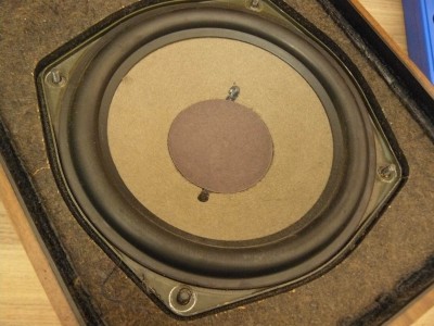 Woofer Closeup