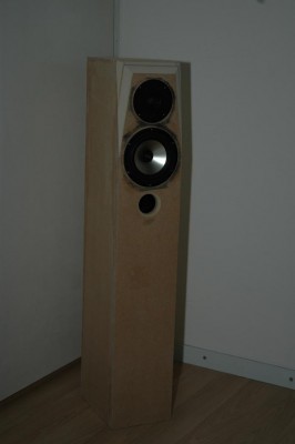 Rear speakers. 052.JPG