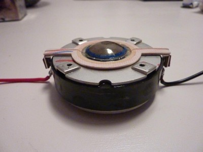 P1000937.JPG