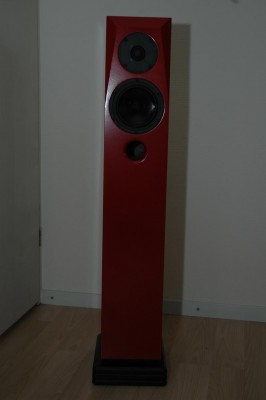 Rear speakers. 004.JPG