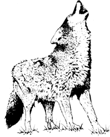 wolf.gif