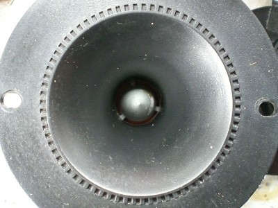 CIMG8768.jpg