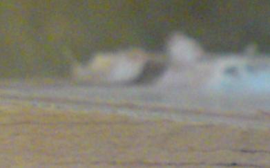 Wazig detail, EENS  :s