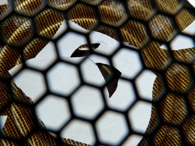 P1010814a.jpg