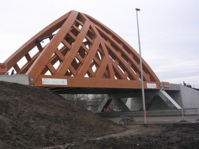 accoya.jpg