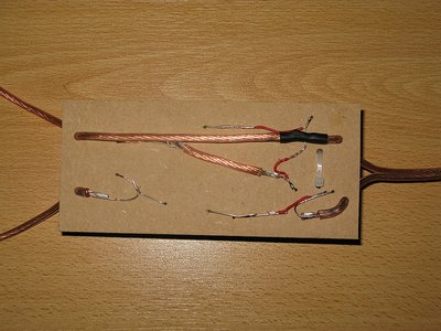 sized_IMG_6307.JPG