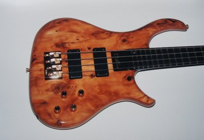 Taxus bass [1280x768].JPG