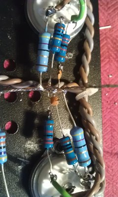 IMAG0236.jpg
