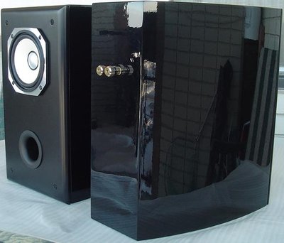 Fostex-FX120-Bass-Reflex-back.jpg
