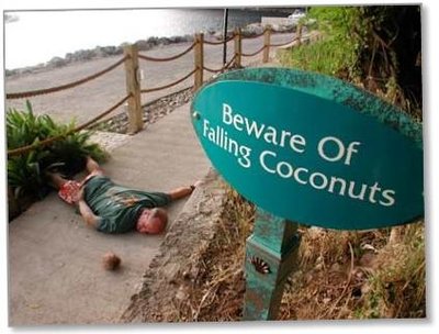 Coconuts.jpg