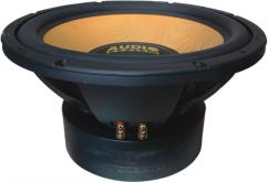 audio system xion 15 - 800_p1.jpg