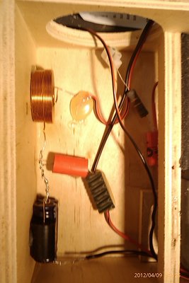 IMAG0335.jpg