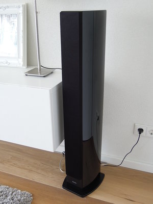 Peerless HDS Vifa Ringrad 001.jpg