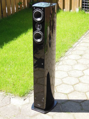 Peerless HDS Vifa Ringrad 006.jpg