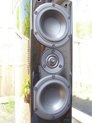 Peerless HDS Vifa Ringrad 019.jpg