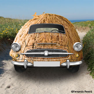 coconut-car.jpg