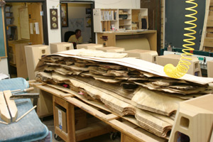VENEER.JPG