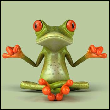 zenfrog.~png.jpg