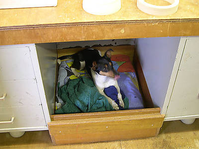 DSCN1526.JPG