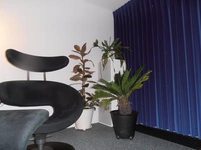 Luidspreker na plaatsing in de woonkamer en decoratie door mijn partner.