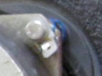 IMG1.jpg
