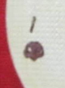 IMG2.jpg