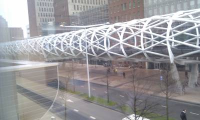 De Netkous