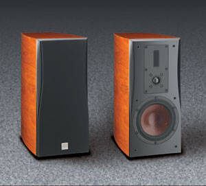 de w300
