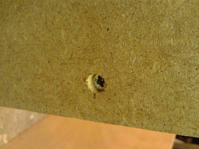 20140605_214950.jpg