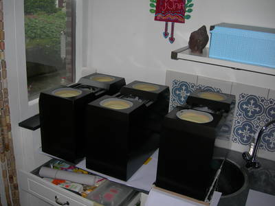 DSCN2817.JPG