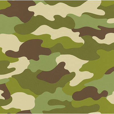 rp00024_l.jpg
