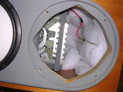 pacific woofer eruit.jpg