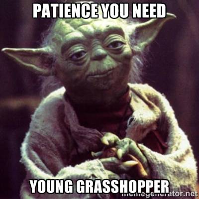 Patience Yoda.jpg