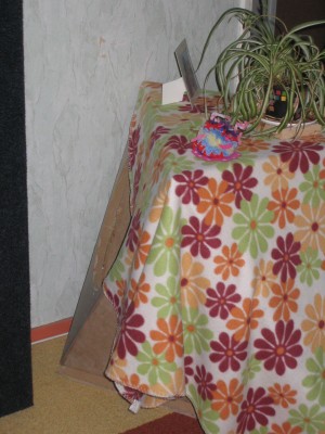 en toen moest ik verder in de woonkamer...  tja niet echt hoge WAF, dus ik denk: camouflage!  had ze t nog door ook....