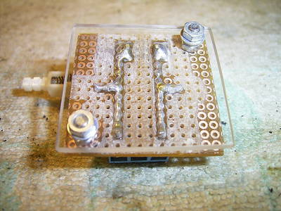 RIMG0163.JPG