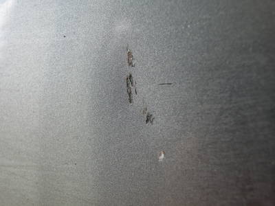 DSCN8901.JPG