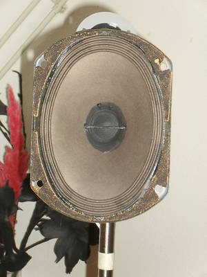 SDC11374.JPG